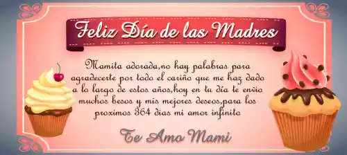 vectores plantilas DIA DE LA MAMA,MAMA,FESTEJO,LEYENDA,MARCO FOTO,MARCO,
